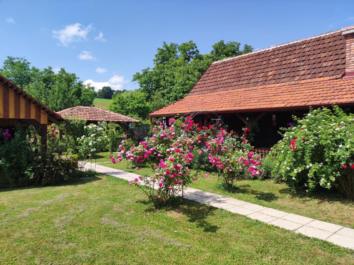 Pod Orehom Drvena Kuca I Sauna Krapina Kültér fotó