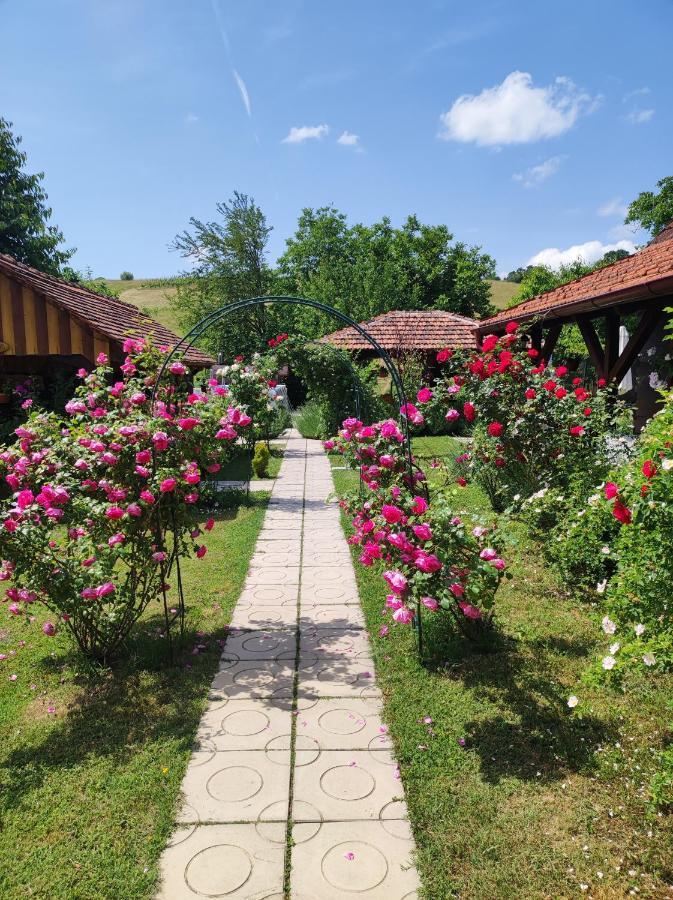 Pod Orehom Drvena Kuca I Sauna Krapina Kültér fotó